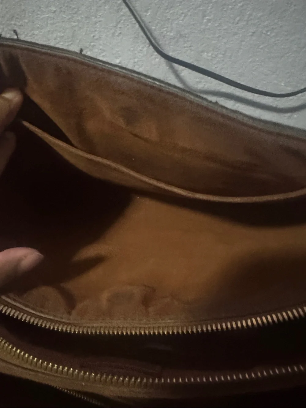Louis Vuitton authentic louis